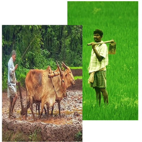 your Credit Cooperative ERP