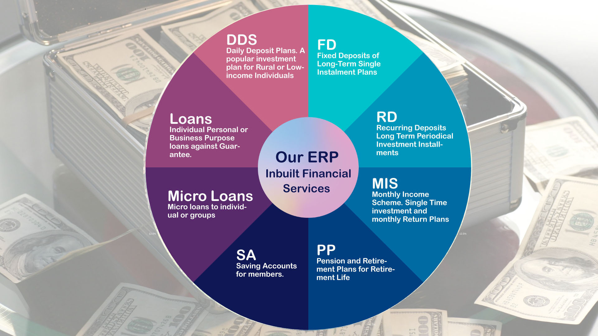A Single ERP to Manage All Your Financial Offerings for Members