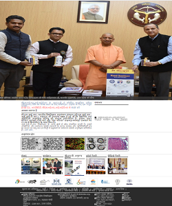 Website Designing & Development Services