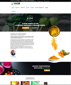 Website Designing & Development Services